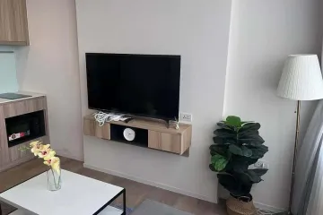 1 Bedroom Condo for sale in Siamese Sukhumvit 87, Bang Chak, Bangkok near BTS On Nut