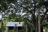 Land for sale in Ban Pong, Chiang Mai