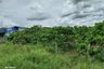 Land for sale in Nam Phrae, Chiang Mai