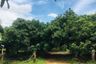 Land for sale in Nam Phrae, Chiang Mai