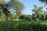 Land for sale in Summit Green Valley, Mae Sa, Chiang Mai