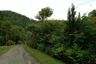Land for sale in Pa Pae, Chiang Mai