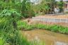Land for sale in Huai Sai, Chiang Mai