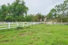 Land for sale in Huai Sai, Chiang Mai