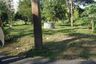 Land for sale in Fa Ham, Chiang Mai