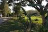 Land for sale in Fa Ham, Chiang Mai