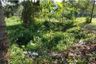 Land for sale in Fa Ham, Chiang Mai