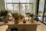 1 Bedroom Condo for sale in THE BASE Height-Chiang Mai, Wat Ket, Chiang Mai