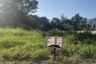 Land for sale in Summit Green Valley, Mae Sa, Chiang Mai