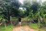 Land for sale in Nam Phrae, Chiang Mai