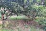 Land for sale in Rong Wua Daeng, Chiang Mai