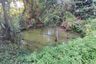 Land for sale in Rong Wua Daeng, Chiang Mai