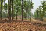 Land for sale in Mae Taeng, Chiang Mai