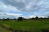 Land for sale in San Sai Luang, Chiang Mai
