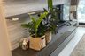 1 Bedroom Condo for rent in Noble Ploenchit, Lumpini, Bangkok near BTS Ploen Chit