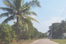 Land for sale in Chom Phu, Chiang Mai