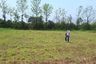 Land for sale in Chom Phu, Chiang Mai