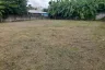 Land for sale in San Sai Luang, Chiang Mai