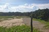 Land for sale in Khun Khong, Chiang Mai