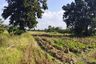 Land for sale in Han Kaeo, Chiang Mai