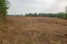 Land for sale in Yu Wa, Chiang Mai