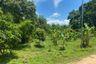 Land for sale in Samran Rat, Chiang Mai