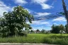 Land for sale in Ban Waen, Chiang Mai