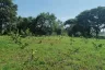 Land for sale in Nong Chom, Chiang Mai