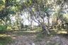 Land for sale in Pa Phai, Chiang Mai