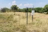 Land for sale in Buak Khang, Chiang Mai