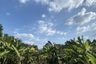 Land for sale in Mae Raem, Chiang Mai