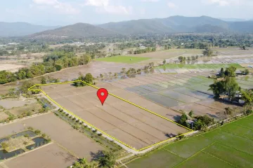 Land for sale in Rong Wua Daeng, Chiang Mai