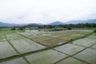Land for sale in Nong Yaeng, Chiang Mai
