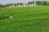 Land for sale in Nong Faek, Chiang Mai