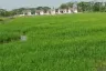 Land for sale in Nong Faek, Chiang Mai