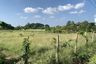 Land for sale in Chom Phu, Chiang Mai