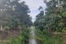 Land for sale in Thung Tom, Chiang Mai