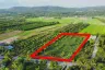 Land for sale in Mae Faek, Chiang Mai