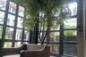 6 Bedroom Townhouse for rent in Phlapphla, Bangkok