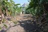 Land for sale in Bang Waek, Bangkok