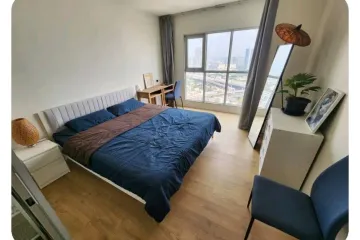 1 Bedroom Condo for rent in Aspire Sukhumvit 48, Phra Khanong, Bangkok near BTS Phra Khanong