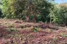 Land for sale in Pa Khlok, Phuket