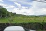Land for sale in Patong, Phuket