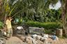Land for sale in Lo Yung, Phang Nga