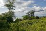 Land for sale in Lo Yung, Phang Nga