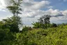 Land for sale in Lo Yung, Phang Nga