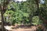 Land for sale in Patong, Phuket