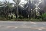 Land for sale in Krabi Noi, Krabi
