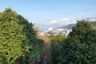 Land for sale in Patong, Phuket