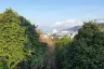 Land for sale in Patong, Phuket